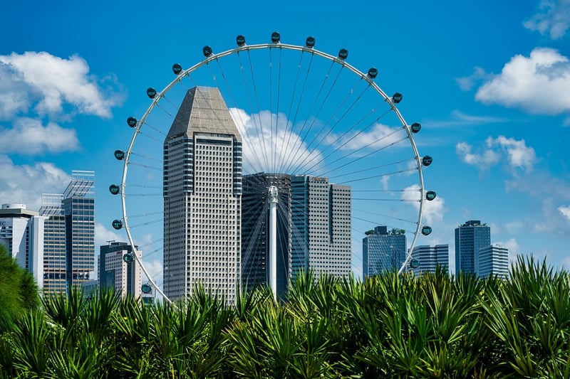 Skyline Greenery
